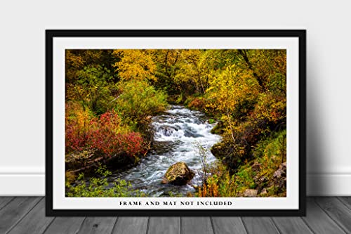 Black Hills Photography Imagine tipărită a pârâului înconjurat de frunziș de toamnă în ziua de toamnă în Spearfish Canyon South