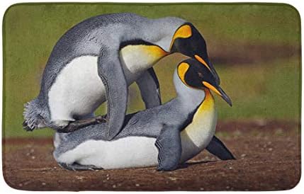 Decor de baie Topyee 16 X 24 covor de baie împerecherea pinguinilor rege Verde Insulele Falkland scena faunei sălbatice din covor de baie confortabil cu suport antiderapant