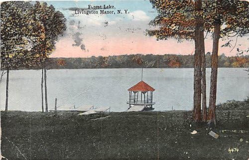 Livingston Manor, NEW YORK CARD