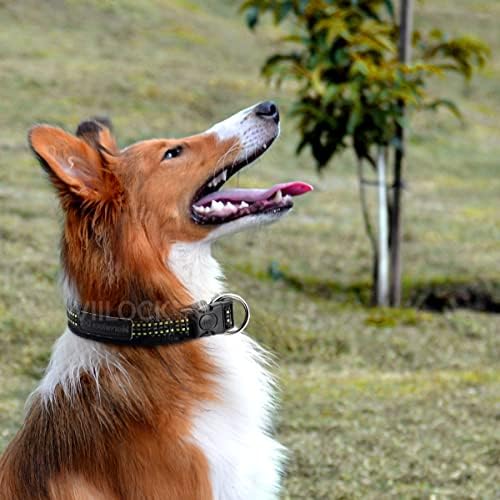 Guler de câini reflectorizant Viilock cu cataramă cu eliberare rapidă, gulere de antrenament pentru câini cu neopren pentru