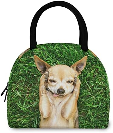 Alaza drăguț Chihuahua cățeluș câine animal izolat cutie de prânz Cooler prânz Tote sac pentru drumeții Picnic Travel Beach