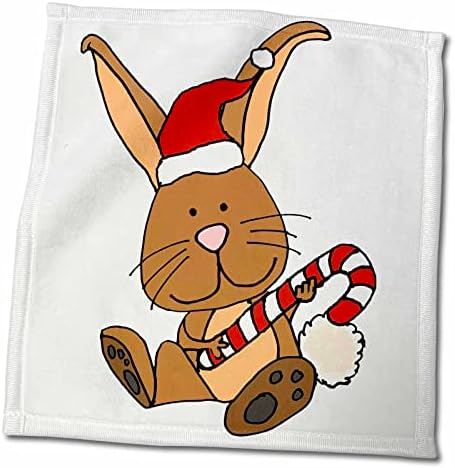 3drose amuzant drăguț iepuras iepure în Santa hat Crăciun desene animate-prosoape