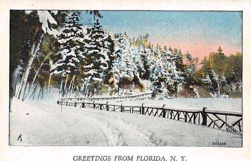 Florida, New York Postcard