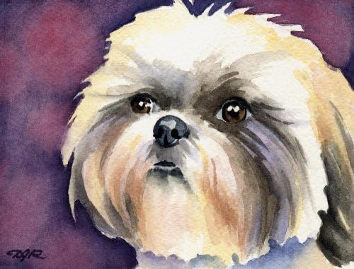 Shih Tzu Dog Art Print de artistul DJ Rogers