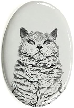 Art Dog Ltd. Selkirk Rex Cat, piatră funerară ovală din plăci ceramice cu o imagine a unei pisici
