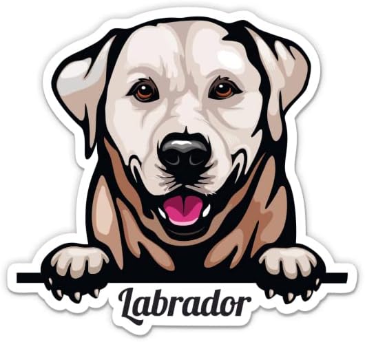 Autocolant Labrador Retriever - Autocolant de laptop de 3 - vinil impermeabil pentru mașină, telefon, sticlă de apă - Decal