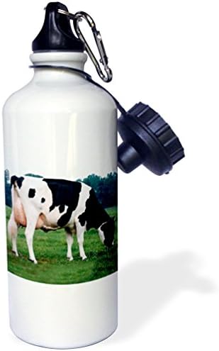 3Drose Holstein Cow Sports Sticla de apă, 21 oz, alb