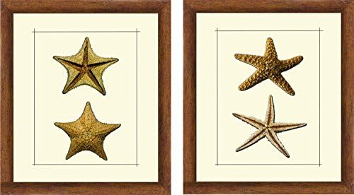 Imagini PTM „Starfish” opere de artă, 14 de 16 inci, aur, set de 2