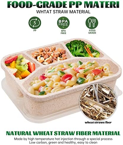 Rarapop 8 pachet Bento cutie de prânz containere alimentare pentru copii mici, Containere de pregătire a mesei cu 4 compartimente