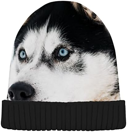 Alaza drăguț Siberian Husky Câine imprimare Beanie pentru femei bărbați iarna pălărie reversibile craniu Tricot Cap Multi
