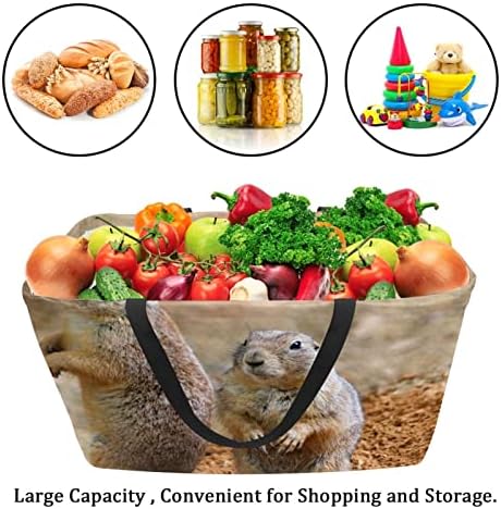 Coș de cumpărături reutilizabile Groundhog Portabil Portabil Picnic Picnic Genti alimentare Coș de Spălătorie pentru cumpărături