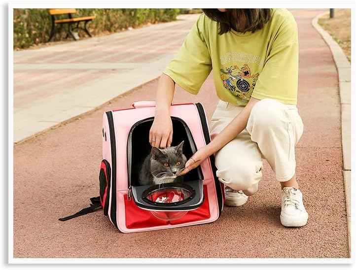 DHTDVD Dog Travel Pet Carriers Rucsac Portabil Respirabil pisici cușcă Respirabil Geantă de călătorie pentru câini mici
