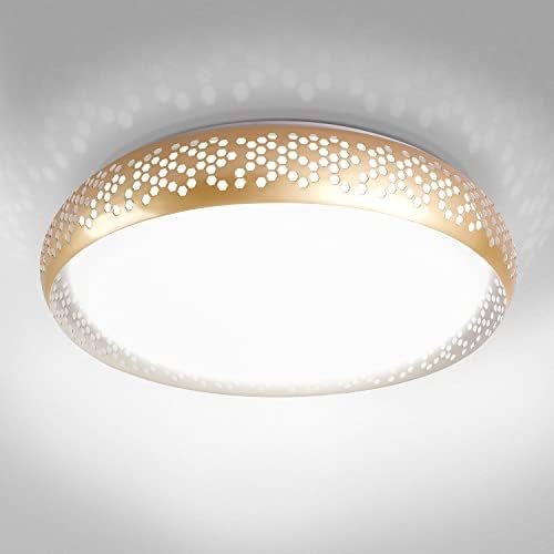 ASD 20 inch LED Flush Mount Plavan Light Light - Gold modern aproape de tavan, corpuri de lumină 42W 2381lm, 2700-5000K reglabile